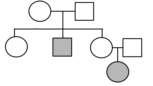 Practice Pedigree Charts Answers