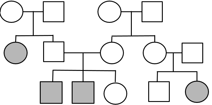 Cystic Fibrosis Pedigree Chart