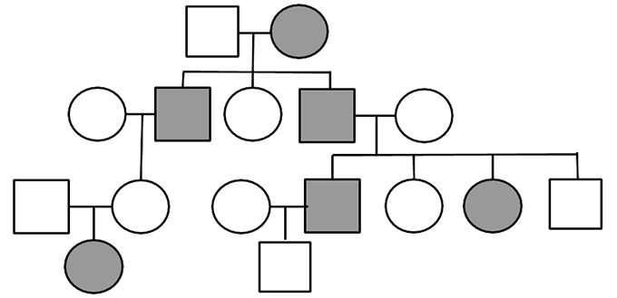 pedigree chart
