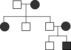 pedigree chart