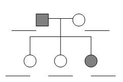 Practice Pedigree Charts Answers