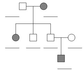 Pedigree Chart Exercises