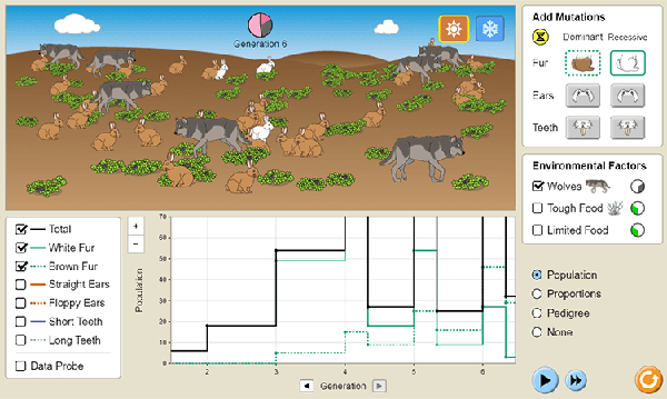 evolution-bunny-simulation