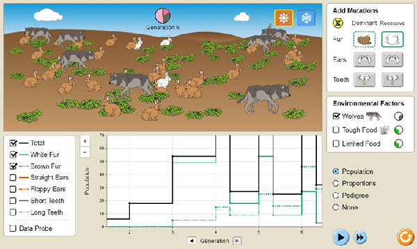 bunny simulator