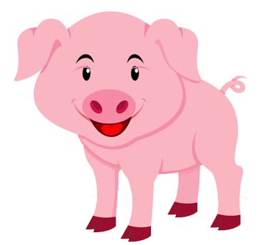 pig