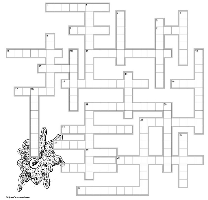 protist crossword