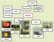 Biomes Concept Map