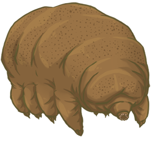 tardigrade