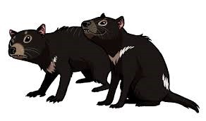 tasmanian devils