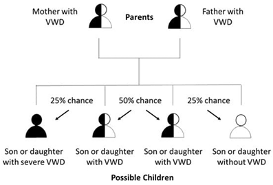 von willebrand pedigree