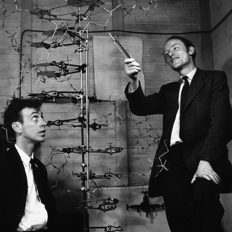 watson and crick