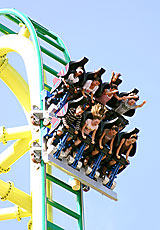 Wicked Roller Coaster