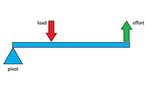 http://www.sciencelearn.org.nz/var/sciencelearn/storage/images/contexts/sporting-edge/sci-media/images/pivot-diagram-of-a-class-2-lever/14704-11-eng-NZ/Pivot-diagram-of-a-Class-2-lever_gallery_medium.jpg