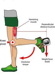 Article: Levers and Body Parts