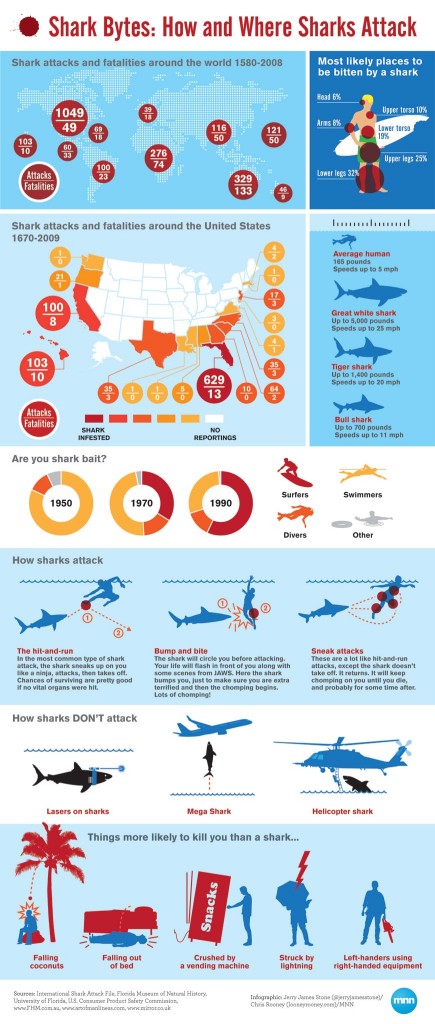 Shark Infographic