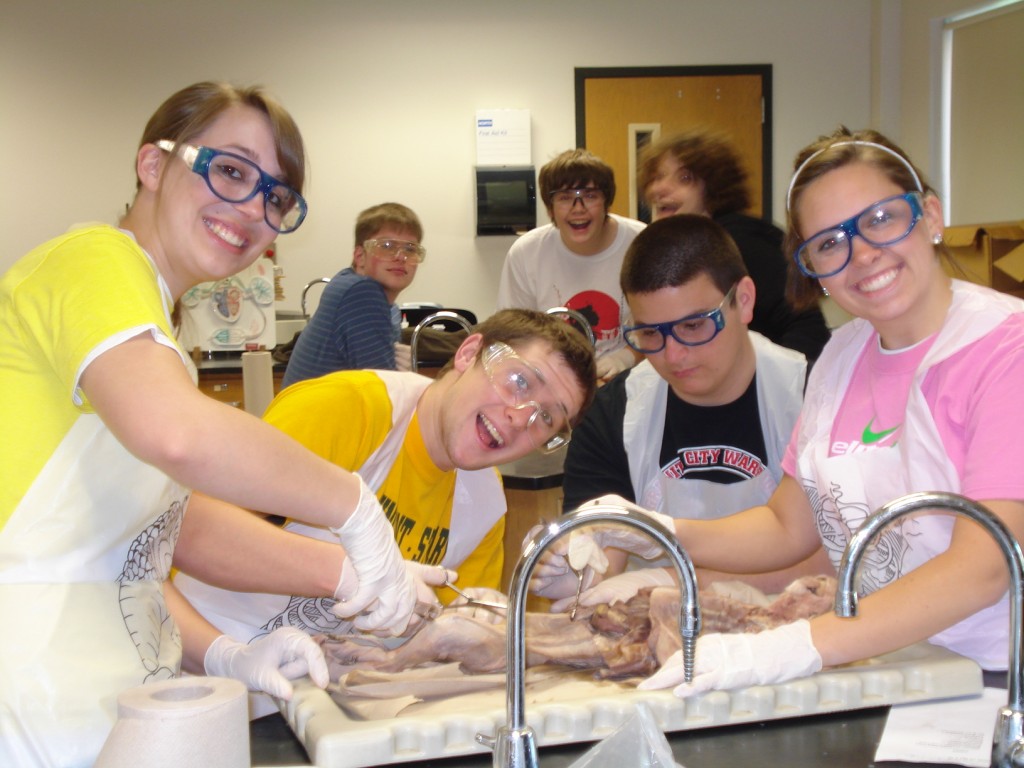 Students Dissecting the Cat