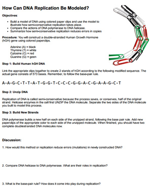 DNA-replication-model