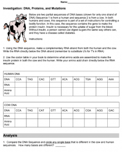 Dna Protein Chart