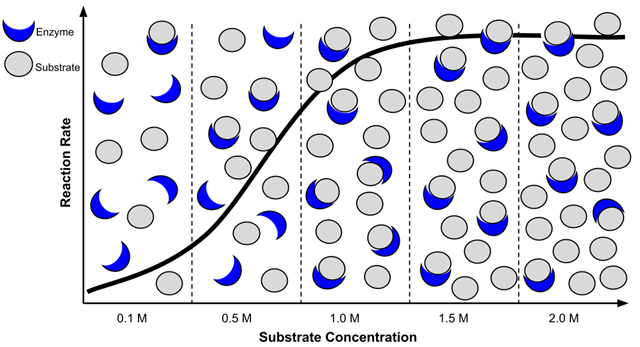 substrate graph