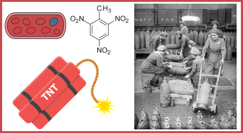Case Study – Canary Girls and Toxicology