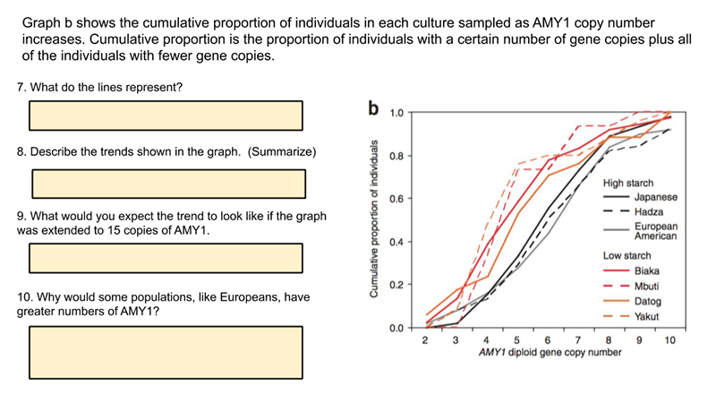 Amylase Enzyme and Copy Number Variant
