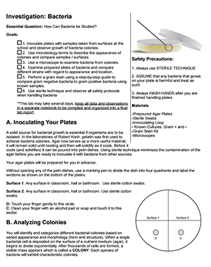 worksheet