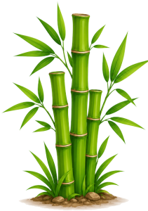 bamboo plant