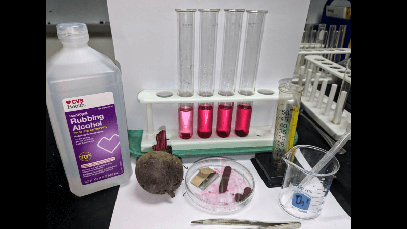 Use Beets to Explore Membrane Permeability