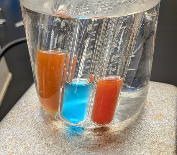 test tubes showing two brick red positive reactions and a blue negative reaction