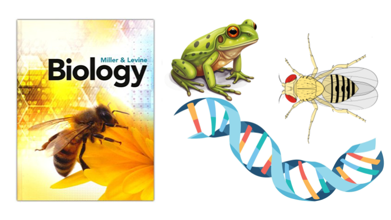 Biology 2 Curriculum and Course Map Materials