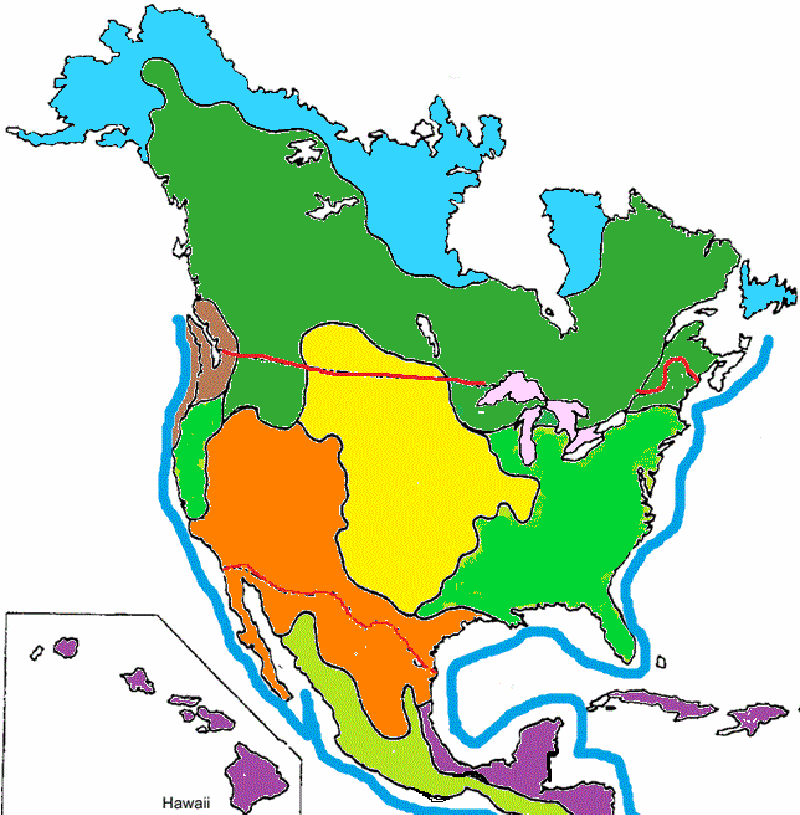 Color the Biomes of North America