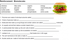 biologycorner.com | The Biology Corner