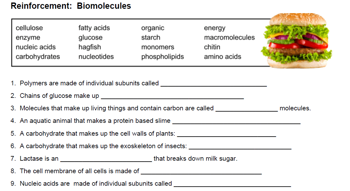 reinforcement-biomolecules