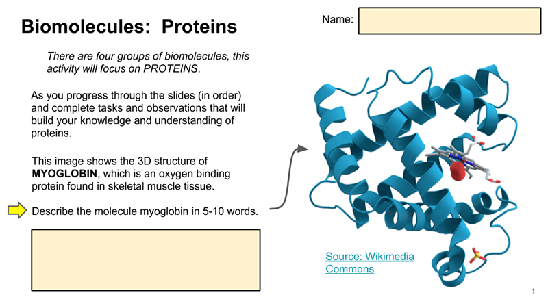 Biomolecules – Guided Learning