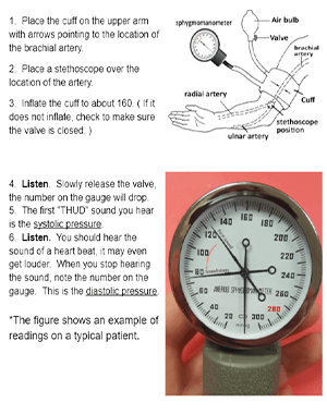 Blood Pressure Measurement, Manual Blood Pressure