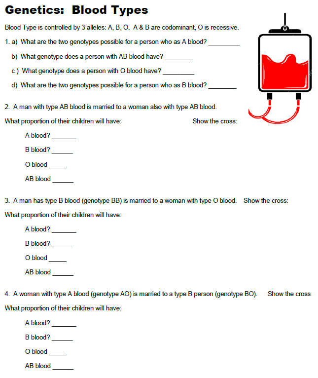 genetics-practice-answer-key