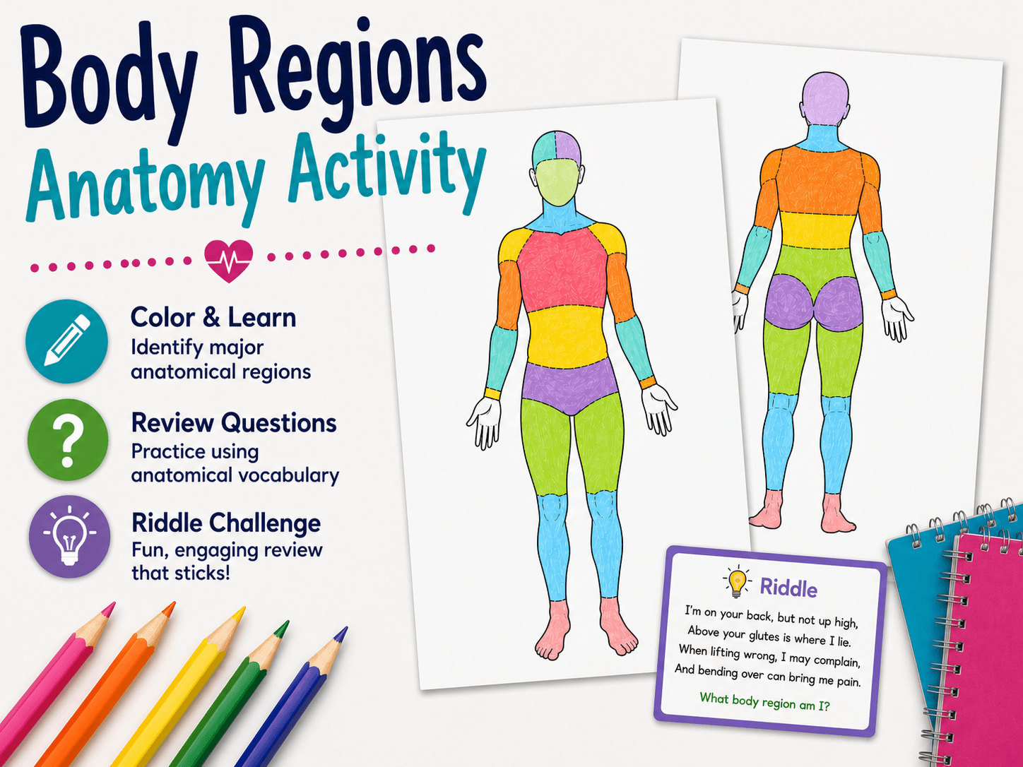 Learn the Anatomical Regions of the Body