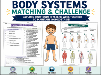 body systems