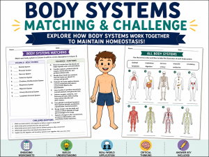 body systems