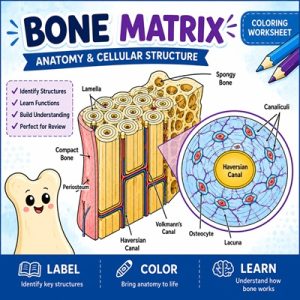 coloring worksheet