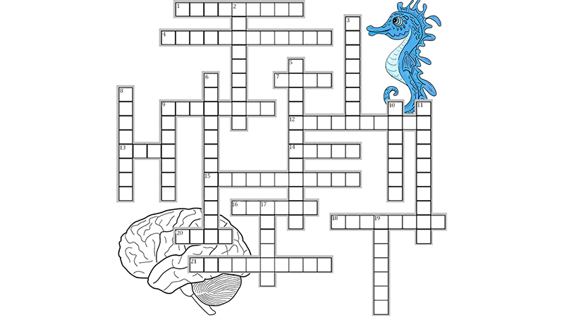 Brain Crossword