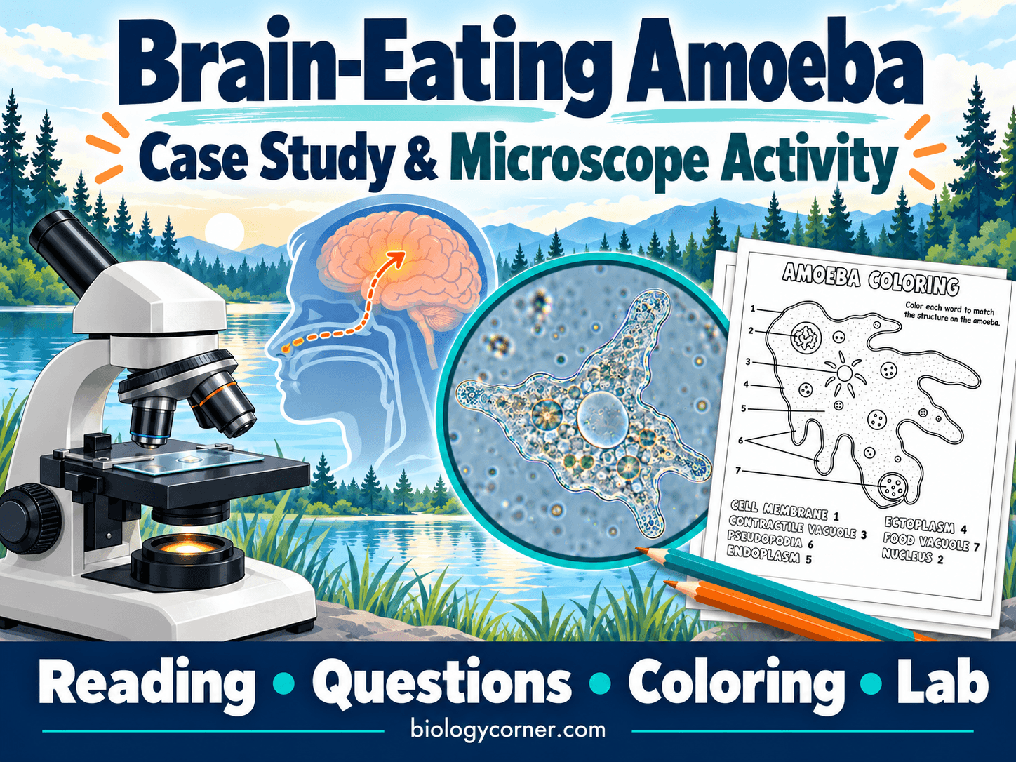 Explore the Microscope with a Brain-Eating Amoeba Case