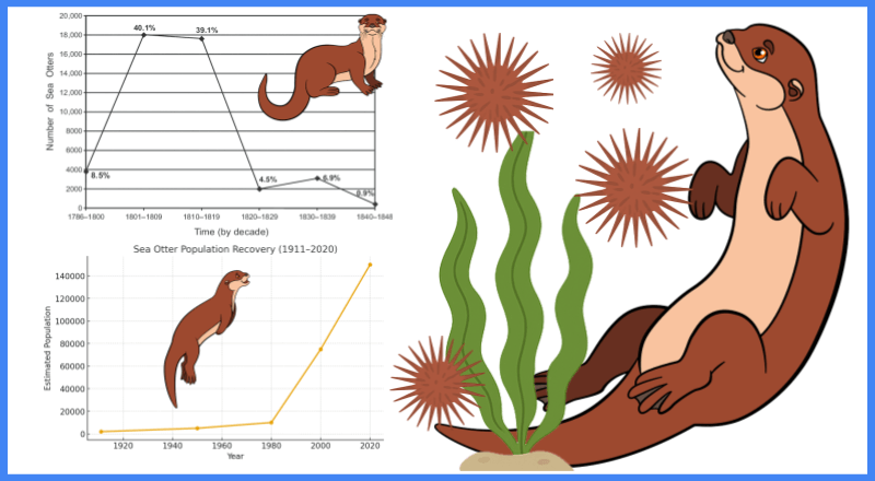 Case Study – Sea Otters and Kelp Forests
