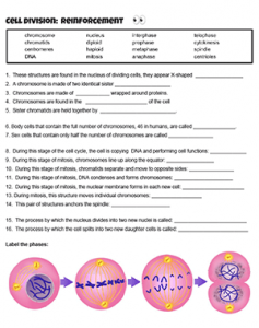 worksheet