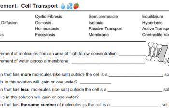 Reinforcement: Cell Transport