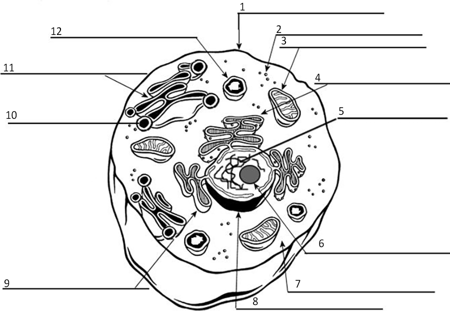 cell label