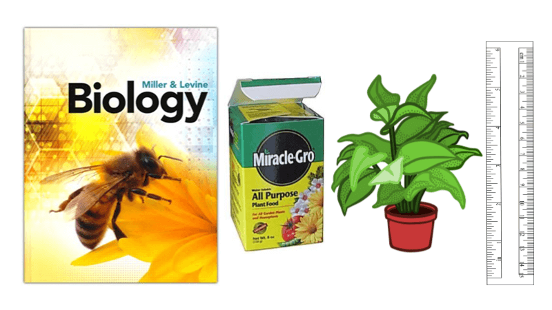 Resources for Chapter 1 Biology (Bee Book)