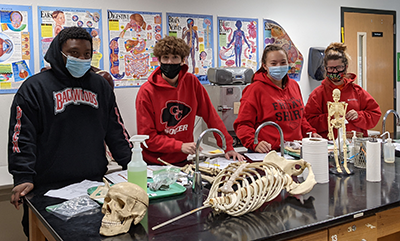 Biology Class Curriculums for Multiple Levels