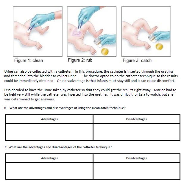 worksheet