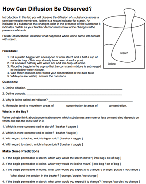 worksheet